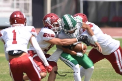 aguilas-blancas-cheyennes-intermedia-2024-onefa-10
