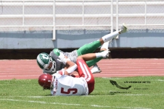 aguilas-blancas-cheyennes-intermedia-2024-onefa-101