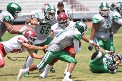 aguilas-blancas-cheyennes-intermedia-2024-onefa-103