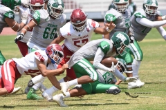 aguilas-blancas-cheyennes-intermedia-2024-onefa-104