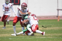 aguilas-blancas-cheyennes-intermedia-2024-onefa-114