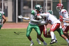 aguilas-blancas-cheyennes-intermedia-2024-onefa-117
