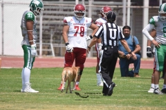 aguilas-blancas-cheyennes-intermedia-2024-onefa-123