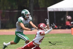 aguilas-blancas-cheyennes-intermedia-2024-onefa-124