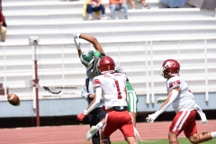 aguilas-blancas-cheyennes-intermedia-2024-onefa-13