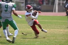 aguilas-blancas-cheyennes-intermedia-2024-onefa-130