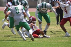aguilas-blancas-cheyennes-intermedia-2024-onefa-131