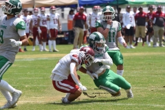 aguilas-blancas-cheyennes-intermedia-2024-onefa-132