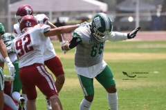 aguilas-blancas-cheyennes-intermedia-2024-onefa-133
