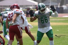 aguilas-blancas-cheyennes-intermedia-2024-onefa-134