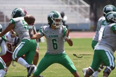 aguilas-blancas-cheyennes-intermedia-2024-onefa-135