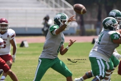 aguilas-blancas-cheyennes-intermedia-2024-onefa-136