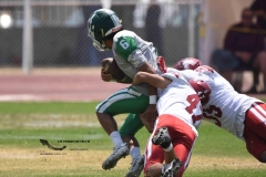 aguilas-blancas-cheyennes-intermedia-2024-onefa-139
