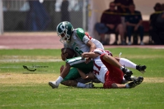 aguilas-blancas-cheyennes-intermedia-2024-onefa-140