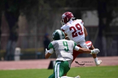 aguilas-blancas-cheyennes-intermedia-2024-onefa-143