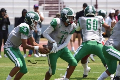 aguilas-blancas-cheyennes-intermedia-2024-onefa-144