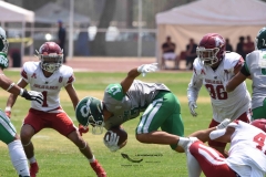 aguilas-blancas-cheyennes-intermedia-2024-onefa-148
