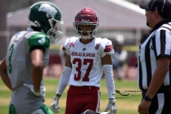 aguilas-blancas-cheyennes-intermedia-2024-onefa-149