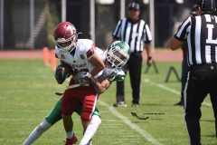 aguilas-blancas-cheyennes-intermedia-2024-onefa-15