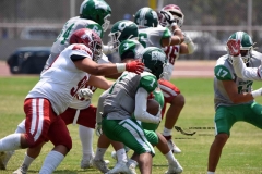aguilas-blancas-cheyennes-intermedia-2024-onefa-150