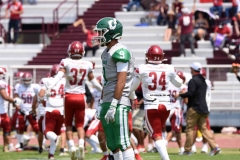 aguilas-blancas-cheyennes-intermedia-2024-onefa-152