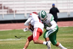 aguilas-blancas-cheyennes-intermedia-2024-onefa-16