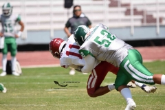 aguilas-blancas-cheyennes-intermedia-2024-onefa-17