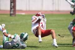 aguilas-blancas-cheyennes-intermedia-2024-onefa-18