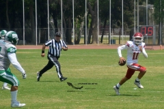 aguilas-blancas-cheyennes-intermedia-2024-onefa-183
