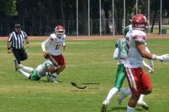 aguilas-blancas-cheyennes-intermedia-2024-onefa-188