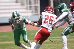 aguilas-blancas-cheyennes-intermedia-2024-onefa-19