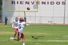 aguilas-blancas-cheyennes-intermedia-2024-onefa-192