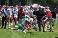aguilas-blancas-cheyennes-intermedia-2024-onefa-196