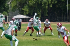 aguilas-blancas-cheyennes-intermedia-2024-onefa-197