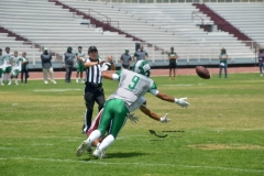 aguilas-blancas-cheyennes-intermedia-2024-onefa-198