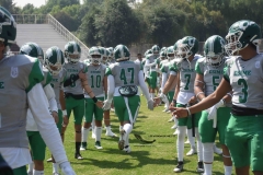 aguilas-blancas-cheyennes-intermedia-2024-onefa-2