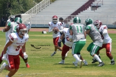 aguilas-blancas-cheyennes-intermedia-2024-onefa-200