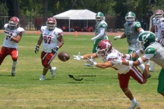 aguilas-blancas-cheyennes-intermedia-2024-onefa-201