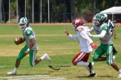 aguilas-blancas-cheyennes-intermedia-2024-onefa-205