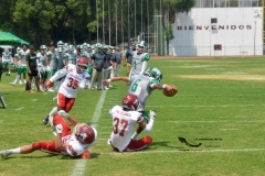 aguilas-blancas-cheyennes-intermedia-2024-onefa-207
