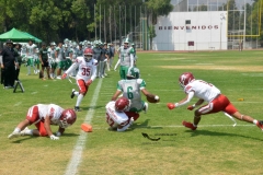 aguilas-blancas-cheyennes-intermedia-2024-onefa-208