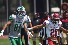 aguilas-blancas-cheyennes-intermedia-2024-onefa-27