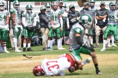 aguilas-blancas-cheyennes-intermedia-2024-onefa-30