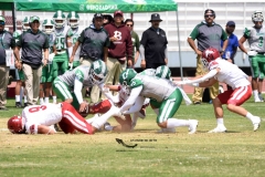 aguilas-blancas-cheyennes-intermedia-2024-onefa-38