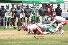 aguilas-blancas-cheyennes-intermedia-2024-onefa-39