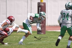 aguilas-blancas-cheyennes-intermedia-2024-onefa-44
