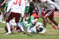 aguilas-blancas-cheyennes-intermedia-2024-onefa-46