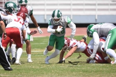 aguilas-blancas-cheyennes-intermedia-2024-onefa-48