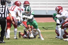 aguilas-blancas-cheyennes-intermedia-2024-onefa-49