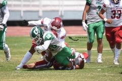 aguilas-blancas-cheyennes-intermedia-2024-onefa-50